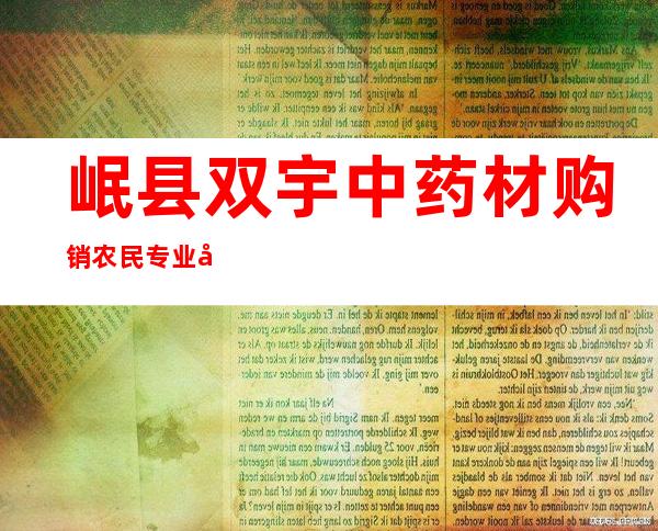 岷县双宇中药材购销农民专业合作社
